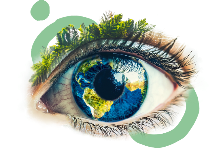 eye