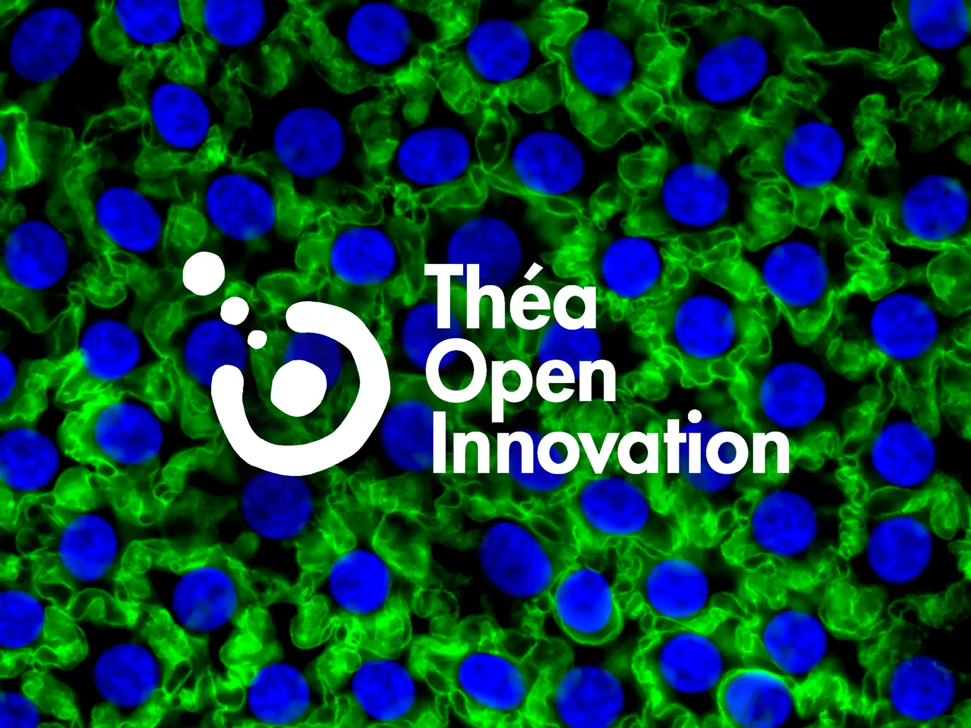 Théa Open Innovation, μια δομή αφιερωμένη στην ανοιχτή καινοτομία
